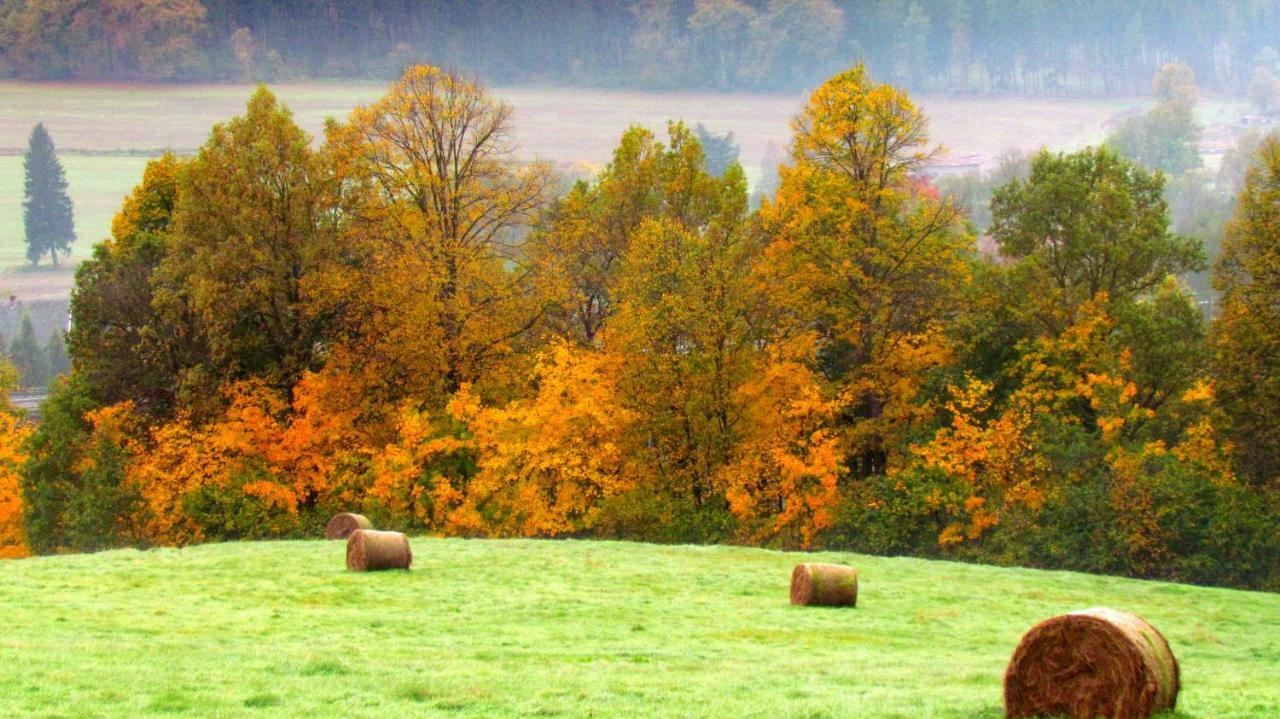 Agro Na Gorce Villa Barcinek Стая снимка